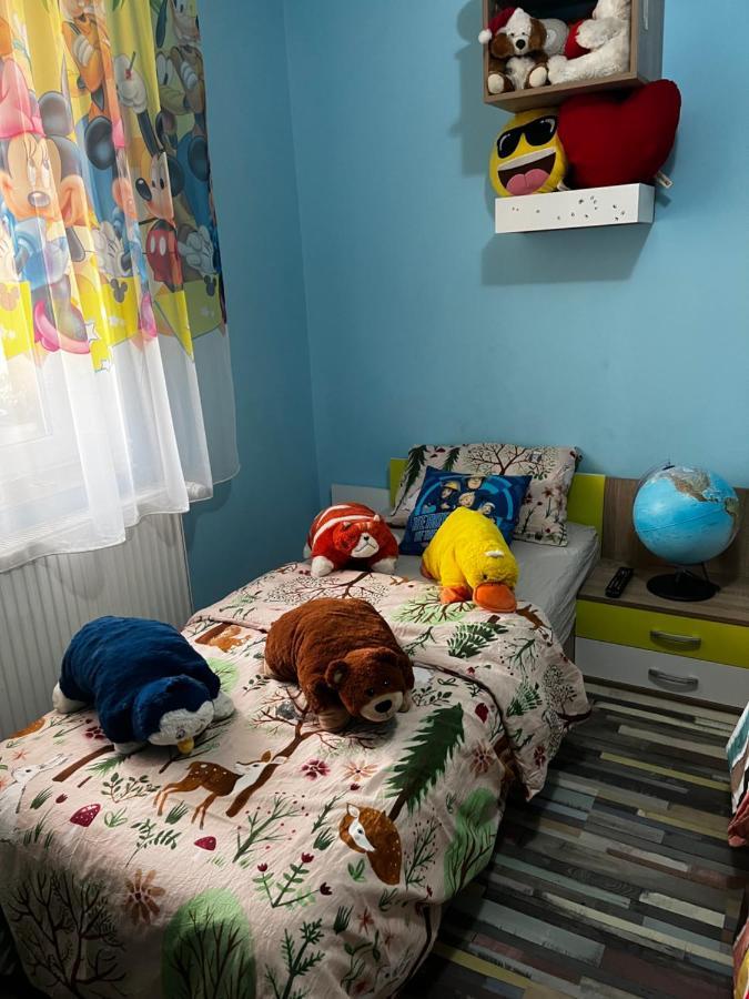 Apartament Maria 1 Băile Herculane Exteriér fotografie
