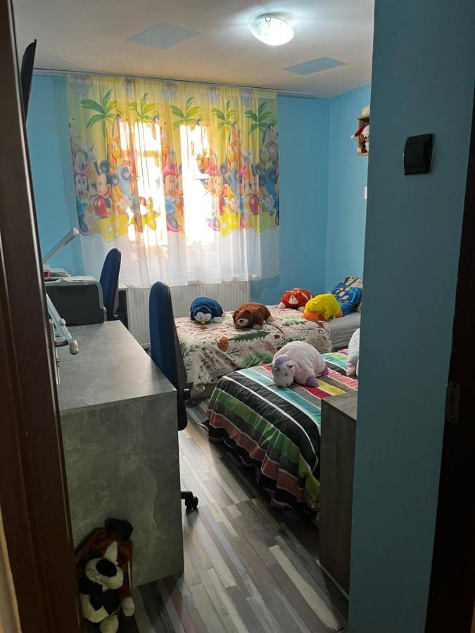 Apartament Maria 1 Băile Herculane Exteriér fotografie