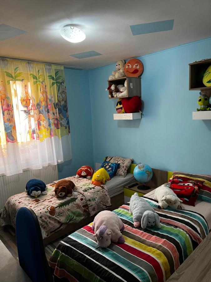 Apartament Maria 1 Băile Herculane Exteriér fotografie